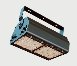 Industrial LED lamp GreenAl-Prom B100